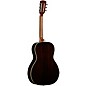 Alvarez LP710e Parlor Acoustic-Electric Guitar Daybreak