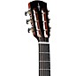 Alvarez LP710e Parlor Acoustic-Electric Guitar Daybreak