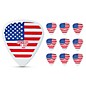 Pick Boy USA Flag Large Celltex Guitar Picks 1.00 mm 10 Pack thumbnail