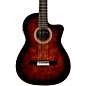 Open Box Cordoba Fusion 12 Exotic Top Nylon-String Classical Acoustic-Electric Guitar Level 2 Brown Sugar Burst 197881342975 thumbnail