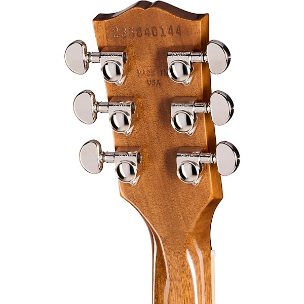 Gibson Les Paul Standard '60s Double Trouble Electric Guitar Vintage Honey Burst