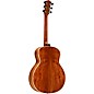 Taylor Gold Label Series 814e Super Auditorium Acoustic-Electric Guitar Natural