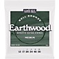 Ernie Ball Earthwood Bell Bronze Acoustic Guitar Strings Medium (13-56) thumbnail