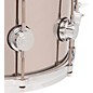 DW Collectors Series Stainless Steel Snare Drum With Die Cast Hoops 14 x 6.5 in. Stainless Steel