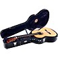 Open Box HumiCase Protege Humidified Full Size Classical and Flamenco Guitar Case Level 1 Black