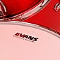 EVANS HD Dry Coated Tom Batter Drum Head 10 in.