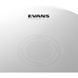 EVANS UV1 Reverse Dot Coated Snare Batter Drum Head 13 in.
