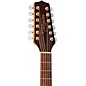 Takamine GD74CE 12-String Dreadnought Acoustic-Electric Guitar Natural