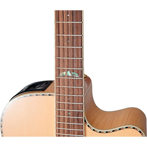Takamine　NPT110-12　12弦Guitar TAKAMINE NPT-110 Acoustic Electric Guitar With Hard Case