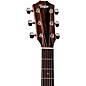 Taylor 217e Plus Grand Pacific Acoustic-Electric Guitar Tobacco Sunburst