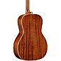Open Box Alvarez LT66e 12-Fret Laureate Series 000 Acoustic-Electric Guitar Level 1 Daybreak