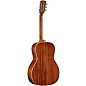 Open Box Alvarez LT66e 12-Fret Laureate Series 000 Acoustic-Electric Guitar Level 1 Daybreak