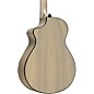 Breedlove Oregon All Solid Myrtlewood Limited-Edition Concert Acoustic-Electric Guitar Permafrost