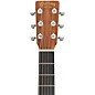 Open Box Martin D Jr E StreetMaster Dreadnought Acoustic-Electric Guitar Level 2 Dark Mahogany 197881387952