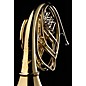 S.E. SHIRES Q20 Geyer Style Q-Series Professional Double Horn Lacquer