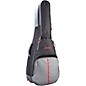 Open Box Breedlove Companion Deluxe Guitar Gig Bag Level 1 thumbnail