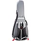 Open Box Breedlove Companion Deluxe Guitar Gig Bag Level 1