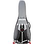 Open Box Breedlove Companion Deluxe Guitar Gig Bag Level 1