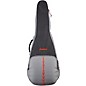 Breedlove Concerto 34" Scale Bass Gig Bag