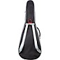 Breedlove Concerto 34" Scale Bass Gig Bag