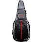 Breedlove Concertina/Companion Tour-Mate Travel Guitar Gig Bag