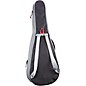 Breedlove Concertina Guitar Gig Bag