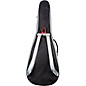 Breedlove Concert Guitar Gig Bag