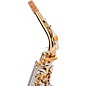 Yamaha 2025 Limited Edition Professional Eb Alto Saxophone Gold Lacquer Silver Plated Keys