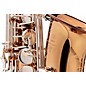 Yamaha 2025 Limited Edition Professional Eb Alto Saxophone Amber Lacquer Silver Plated Keys