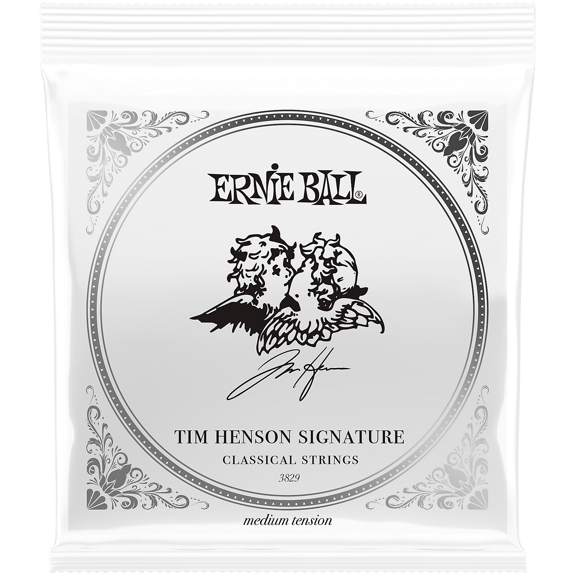 Ernie Ball Tim Henson Signature Medium Tension Classical Guitar Strings (24  - 42) | Guitar Center