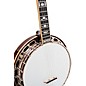 Recording King Carl Jackson Signature Lonesome Dove Resonator Banjo Tobacco Sunburst