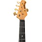 Ernie Ball Music Man StingRay Special 5 HH 5-String Bass Guitar Cherry Punch