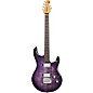 Ernie Ball Music Man Luke 4 HT Maple Top HH Electric Guitar Grape Slushie