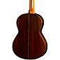 Jose Ramirez Sencillo Classic Concert Cedar Top Nylon-String Classical Acoustic Guitar Natural