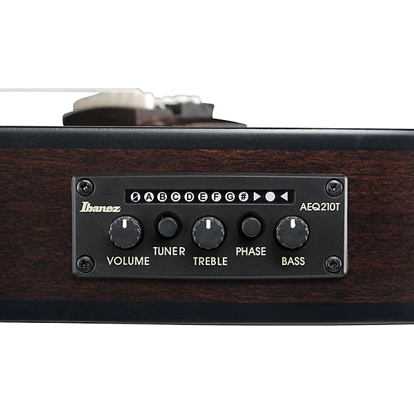 Ibanez FRH20FMN Flamed Maple Top Nylon-String Acoustic-Electric Guitar Cosmic Blue Sunburst