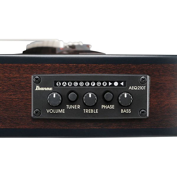 Ibanez FRH20FMN Flamed Maple Top Nylon-String Acoustic-Electric Guitar Deep Emerald Green