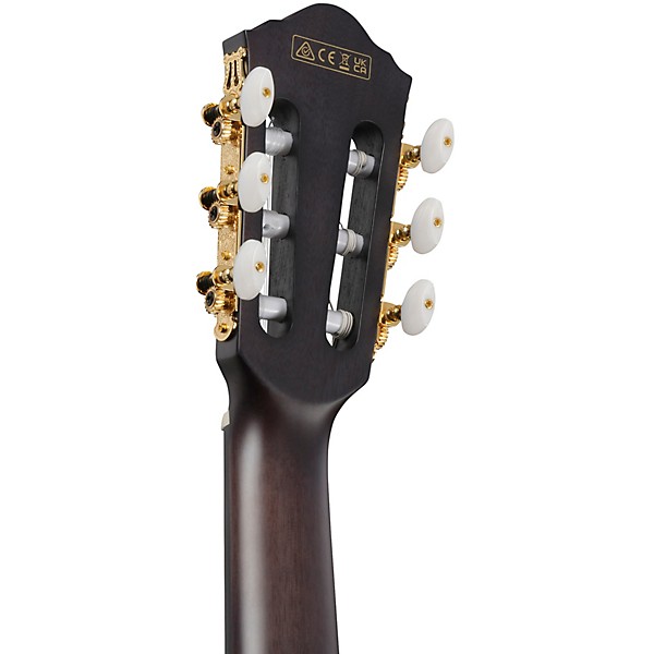 Ibanez FRH20FMN Flamed Maple Top Nylon-String Acoustic-Electric Guitar Deep Emerald Green