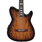 Ibanez FRH20SMN Spalted Maple Top Nylon-String Acoustic-Electric Guitar Tobacco Burst thumbnail