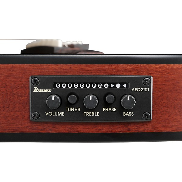 Ibanez FRH20SMN Spalted Maple Top Nylon-String Acoustic-Electric Guitar Tobacco Burst