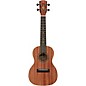 Alvarez RU22CP Concert Ukulele Pack Natural thumbnail