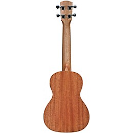 Alvarez RU22CP Concert Ukulele Pack Natural
