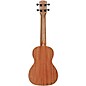 Alvarez RU22CP Concert Ukulele Pack Natural
