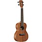 Alvarez RU22CP Concert Ukulele Pack Natural
