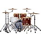 DW SSC Collectors Series 4-Piece Exotic Shell Pack With Gold Hardware - Natural Lacquer Over Tortoise Shell Pommele