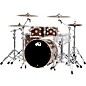 DW SSC Collectors Series 4-Piece Exotic Shell Pack With Gold Hardware - Natural Lacquer Over Tortoise Shell Pommele