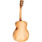 Martin Custom Shop 41 Style European High Altitude Spruce-AAA Pacific Big Leaf Maple Grand Performance Acoustic Guitar Toa...