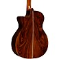 Martin Custom Shop 18 Style European High Altitude Swiss Spruce VTS-Wild Grain East Indian Rosewood Grand Performance Acou...