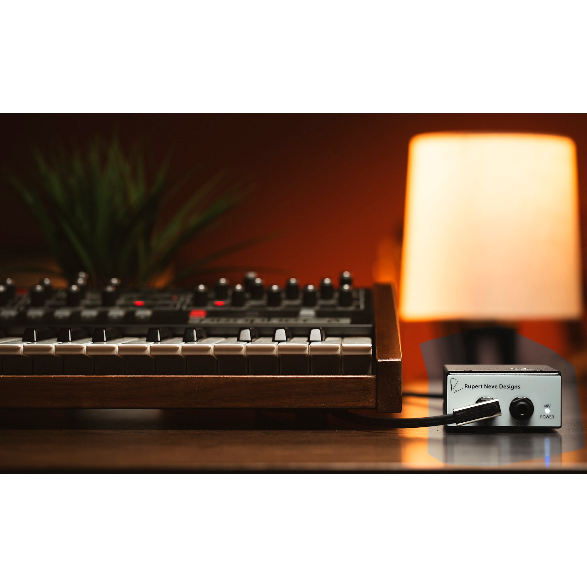 Rupert Neve Designs RNDI-M Active Transformer Direct Box | Guitar