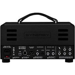 Synergy SYN-20IR Tube Amp Head and Friedman BE-BB Module Bundle