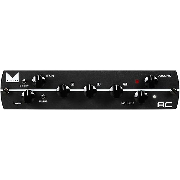 Synergy SYN-20IR Tube Amp Head and Morgan AC Module Bundle